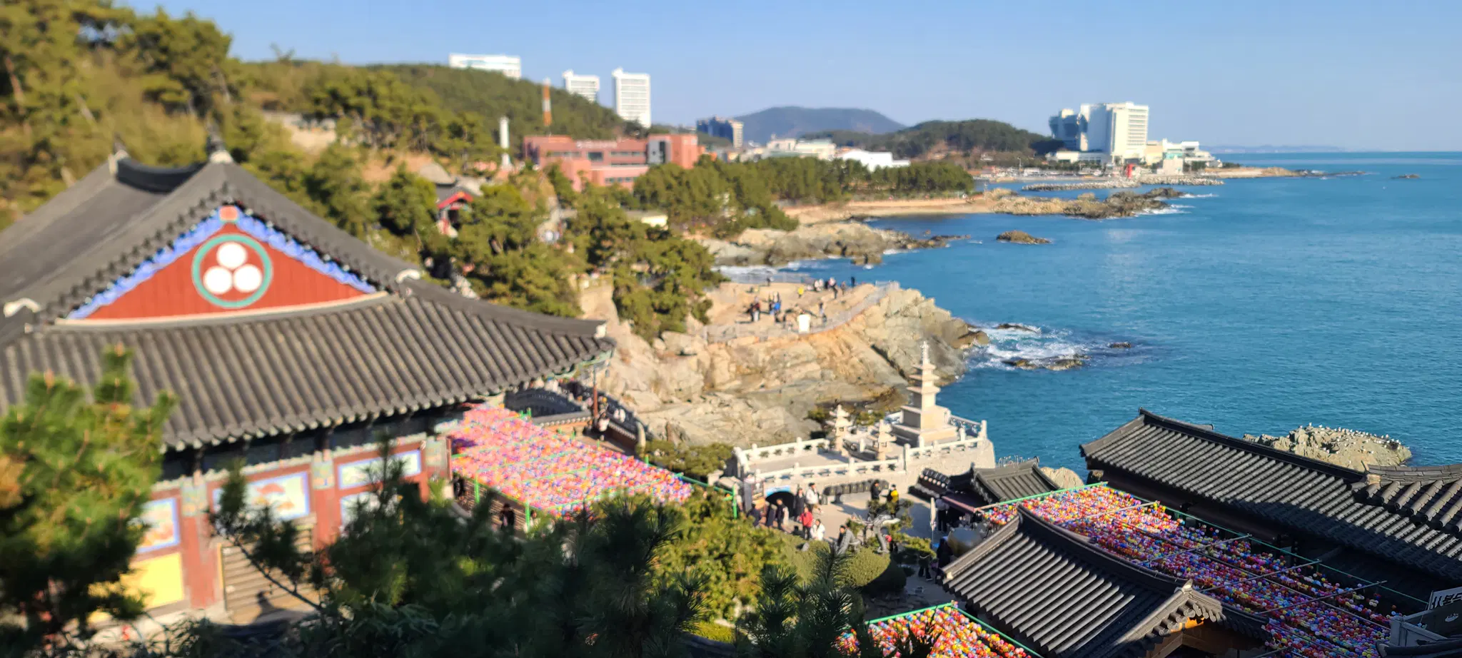 한옥 양식의 여러 절 건물 너머로 바다가 보인다.