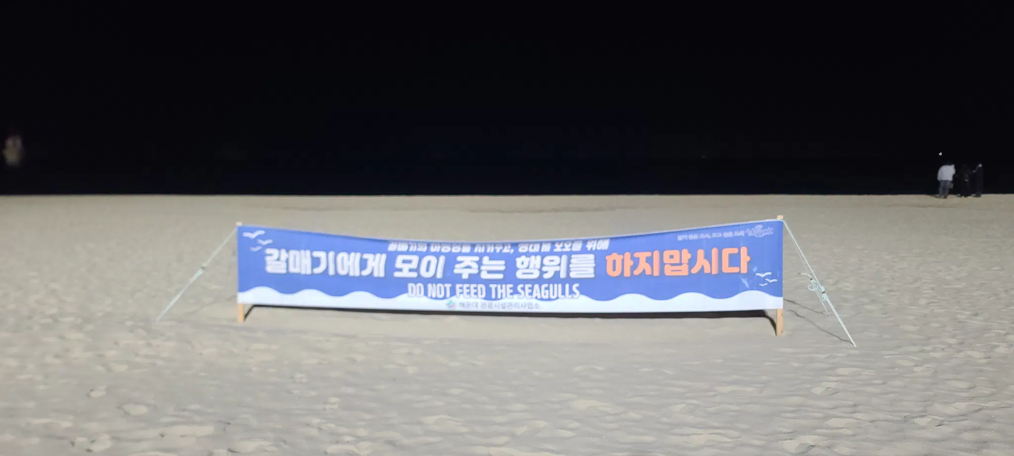 바닷가 백사장에 현수막이 꽂혀 있다.
‘갈매기의 야생성을 지켜 주고 생태계 보호를 위해
갈매기에게 모이를 주는 행위를 하지 맙시다.
해운대관광시설관리사무소’